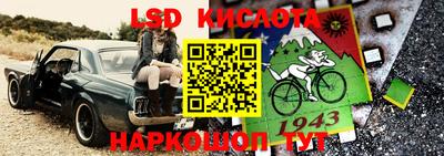 бошки Дмитров