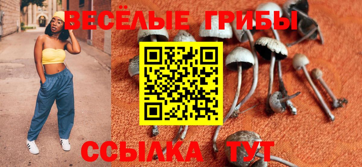 Псилоцибиновые грибы мухоморы Лесосибирск
