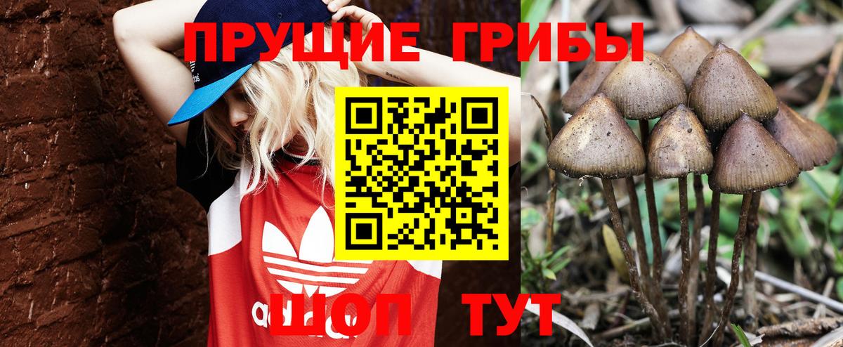 Псилоцибиновые грибы Psilocybe  Вход с VPN  Лесосибирск  Галлюциногенные грибы Psilocybine cubensis 