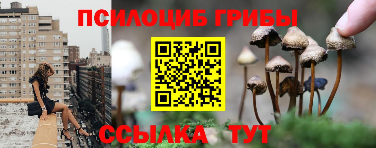 Лесосибирск  Вход с VPN  МДМА  Меф МЯУ МЯУ кристаллы  КОКАИН  МАРИХУАНА 